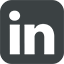 LinkedIn Share Icon